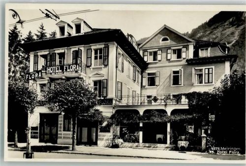 3860 Meiringen Foto AK Hotel Flora