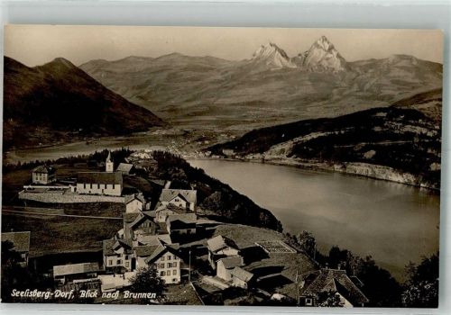6377 Seelisberg Foto AK Blick nach Brunnen