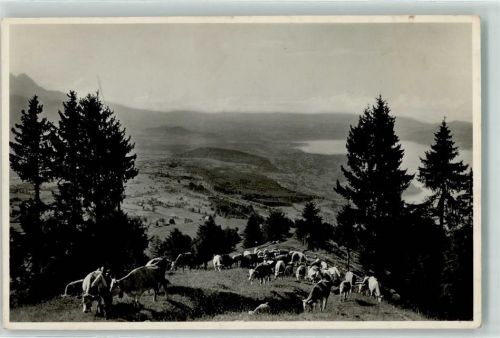3703 Aeschi b. Spiez - Alpaufzug auf Aeschi Allmend