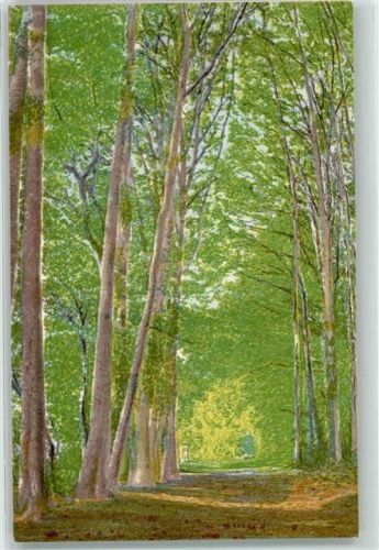 3074 Muri b. Bern - Waldweg