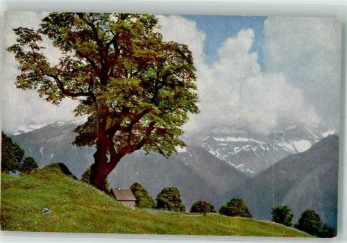 8784 Braunwald - Die Schweiz Serie 105 Sommertage