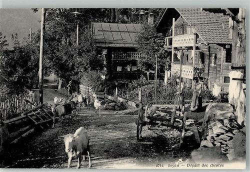 1882 Gryon Foto AK Ziege Straße