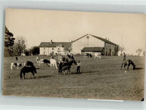 2610 St-Imier Saint-Imier - Pferde Kühe Nähe St. Imier Ort handschriftlich