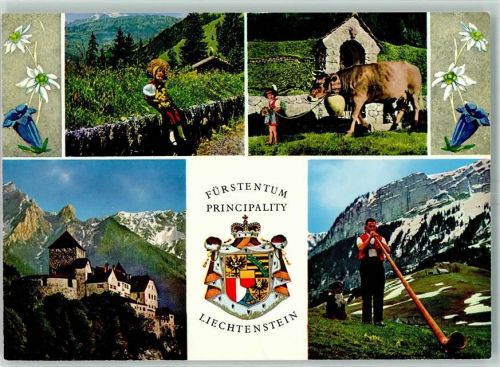 9490 Vaduz - Schloss Vaduz mit Falknis Nationalfahrten Alpabfahrt