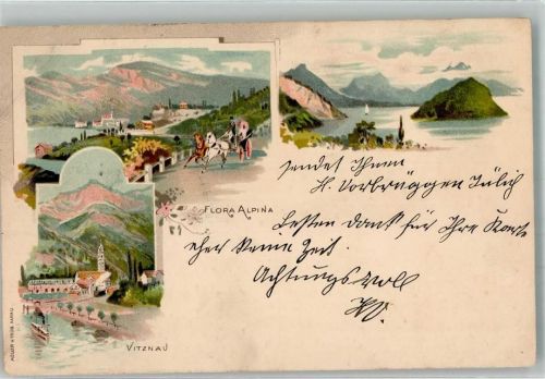 6354 Vitznau 1897 Lithographie Flora Alpina