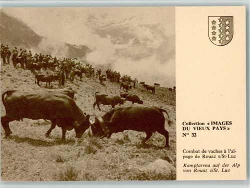 St-Luc Collection Images du vieux Pays Nr. 32, - Kampfarena auf der Alp von Rouaz Motiv Schweiz 1950