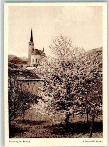 7550 Scuol Schuls Foto AK Frühling Foto Feuerstein