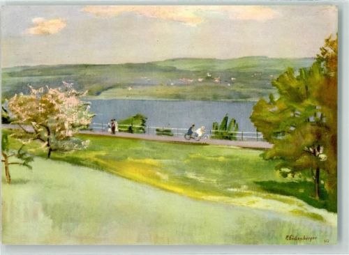 5705 Hallwil Künstlerkarte sign. P. Eichenberger See