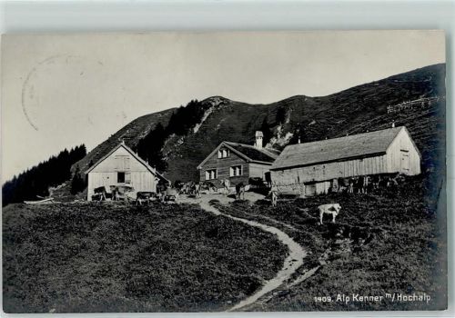 Hochalp - Alp Kenner Kühe
