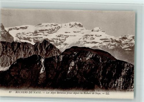 Rochers de Naye - Les Alpes Bernois prises depuis les Rochers de Nay