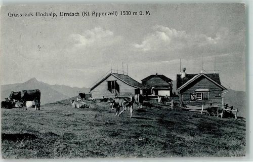 9107 Urnäsch - Hochalp Kühe
