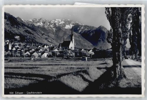 Schaan - Panorama Schloss