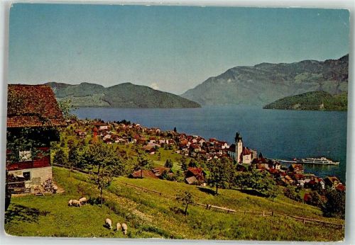 6375 Beckenried 1957 Foto AK