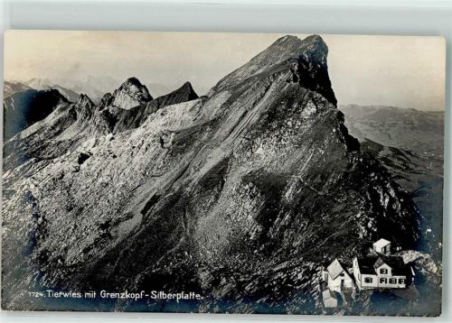 Tierwies - Grenzkopf Silberplatte