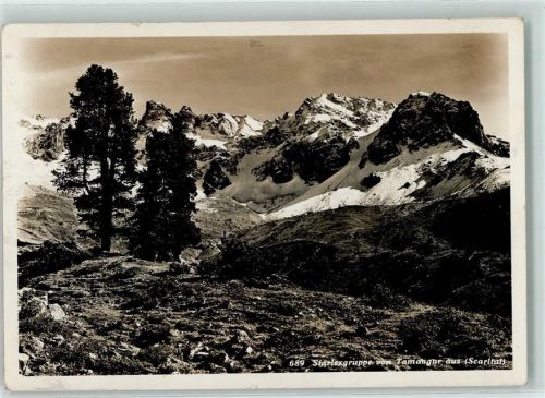 Tamangur - Stariexgruppe