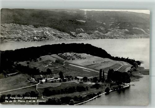 3235 Erlach Foto AK St. Peterinsel