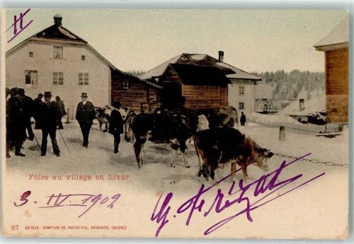 2520 La Neuveville 1902 - Foire au village en hiver Ort lt. Stempel