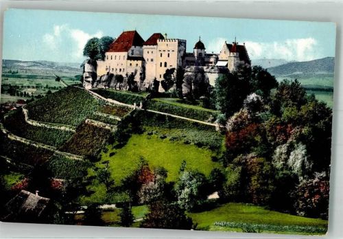 5600 Lenzburg - Burg