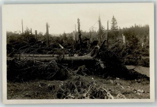 2345 Les Breuleux - Bäume Sturm Wurzeln Unwetter