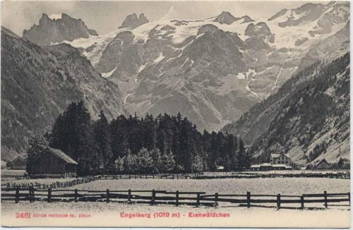 um 1910/20 - Engelberg: 1019 m, Eienwäldchen,Edition Photoglob Co.