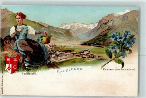 6390 Engelberg Lithographie Obwaldnerin Enzian Gentiana acaulis
