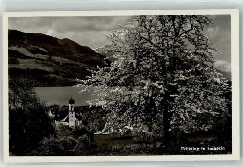 6072 Sachseln - Frühling