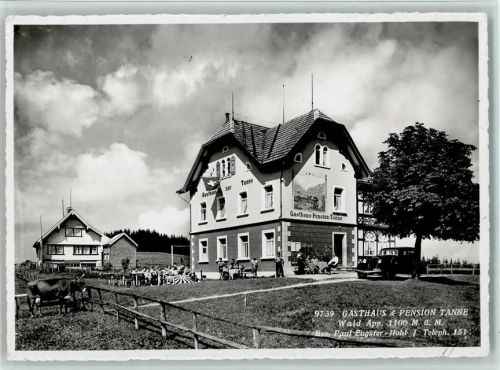 9044 Wald AR - Gasthaus und Pension Tanne Oldtimer Kuh Wappen