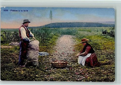 Kartoffelernte Fideles a la terre