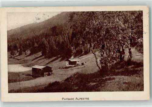 2072 St-Blaise 1920 - Paysage Alpestre Ort lt. Stempel