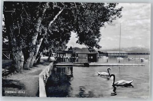 8330 Pfäffikon ZH - Bootsnalger, Schwan