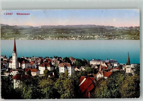 8820 Wädenswil 1914 Foto AK