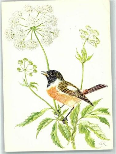 Zürich Vogel Schweizerische Nationalliga für Krebsbekämpfung Motiv Schweiz