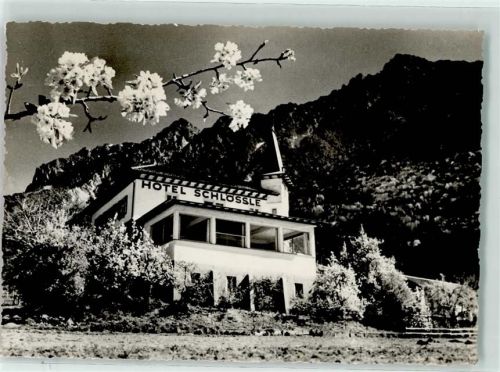 9490 Vaduz - Hotel Schlössle Baumblüte