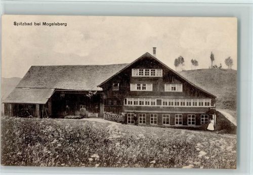 9122 Mogelsberg 1918 - Spitzbad bei Mogelsberg, AK