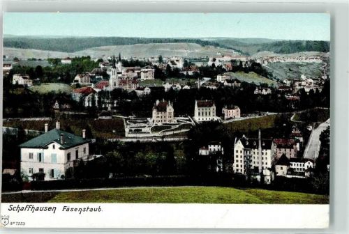 8200 Schaffhausen Sciaffusa - Fäsenstaub