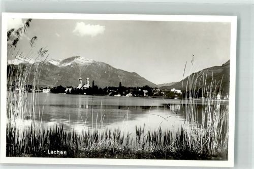 9428 Lachen Foto AK Foto Albrecht