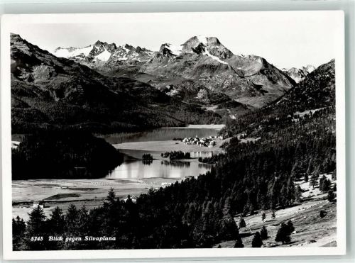 7513 Silvaplana - Verlag u. Fotograf Albert Steiner