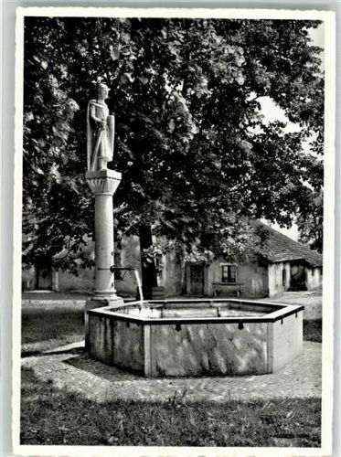 8608 Bubikon - Ritterhaus Johannitermuseum Brunnen