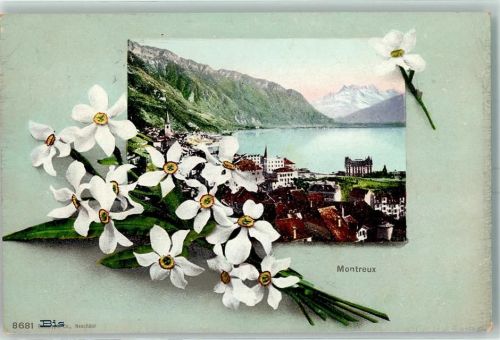 1820 Montreux 1910 Lithographie Narzissen Passepartout