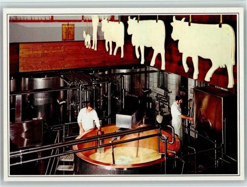 9063 Stein AR - Käser beim käsen und weisse Kühe an der Decke