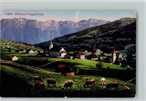 9658 Wildhaus - Blick nach Wildhaus Kühe