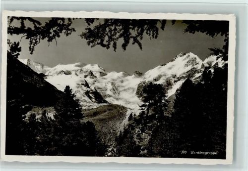 7504 Pontresina - Berninagruppe Bäume
