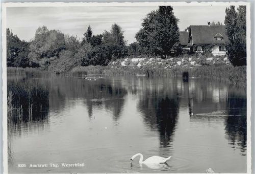 8580 Amriswil Räuchlisberg - See, Schwan