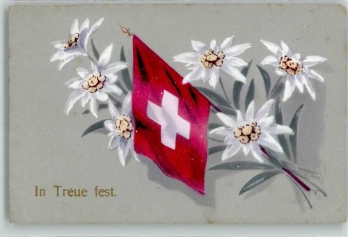 1916 Gebrauchsspuren In Treue fest Flagge Edelweiss Bahnpost Zug 118