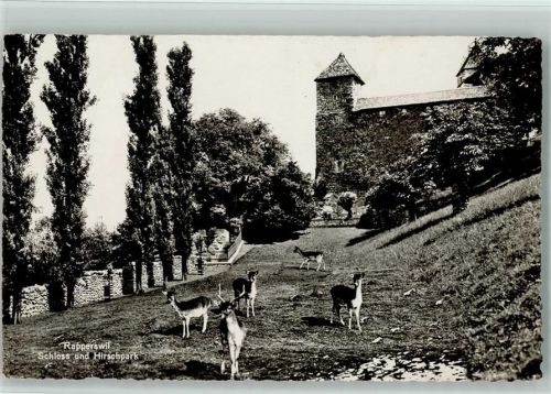 8640 Rapperswil SG - Schloss und Hirschpark