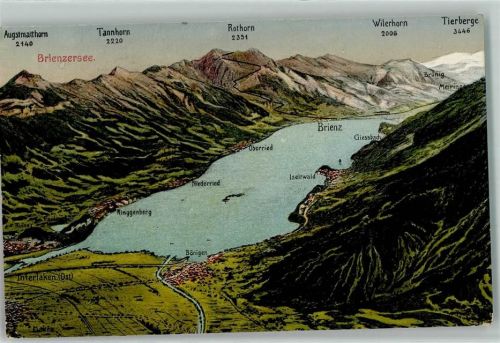 3855 Brienz BE - Vogelschau Brienzersee