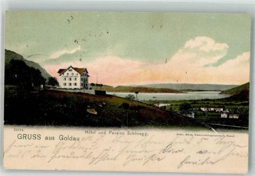 6410 Goldau 1905 Foto AK Hotel Pension Schönegg