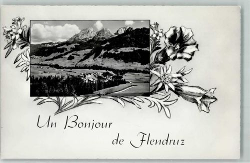 1659 Flendruz Gebrauchsspuren Edelweiss und Enzian