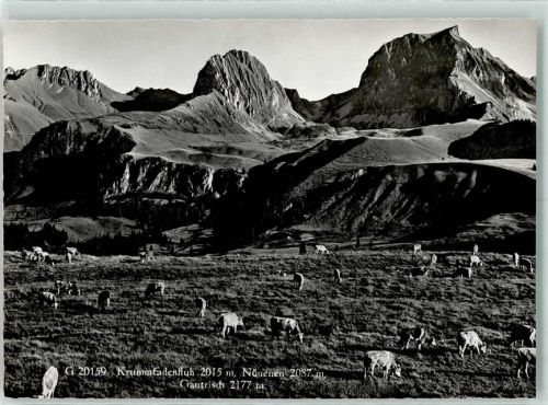 Gantrisch Gebrauchsspuren Nünenen Krummfadenfluh