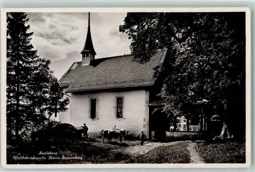 6377 Seelisberg - Wallfahrtskapelle Maria Sonnenberg Kühe